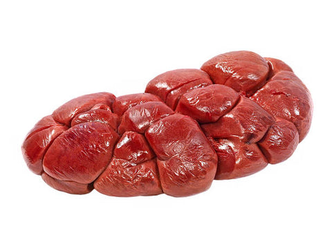 Cow kidney